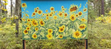 Metsagalerii ja juturajad