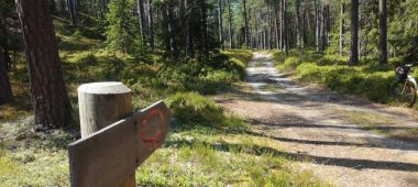 Roja jõe loodusraja