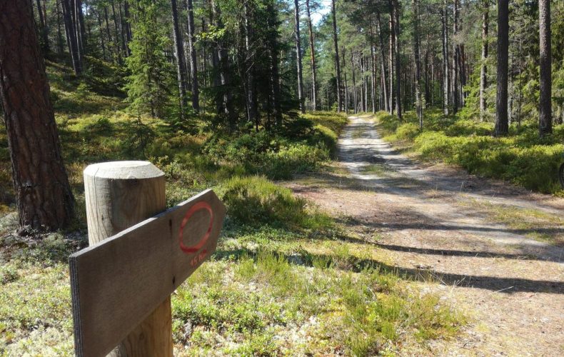 Rojas upes dabas taka2