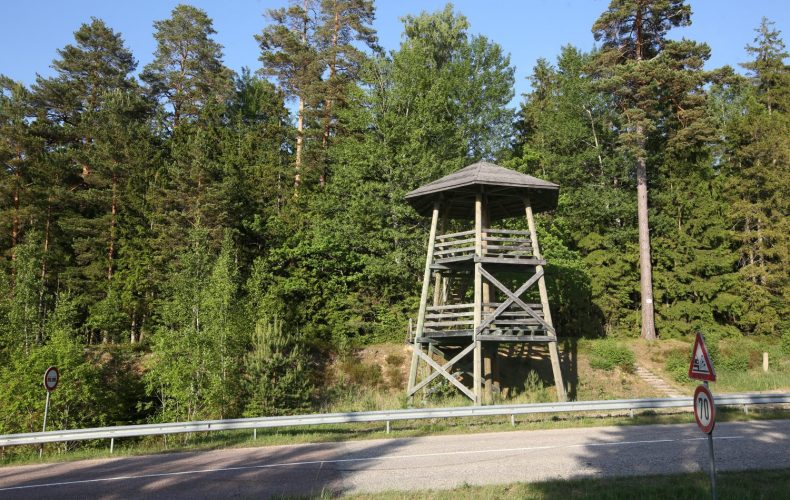 Skatu.tornis.Sliteres.Zilo_.kalnu_-1500x1000