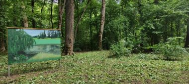 Iecava maalimise rada