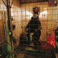 Thequestroom_015