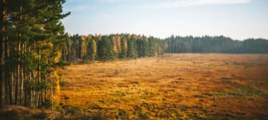 Čepkeļi soo õpperada