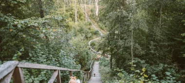 Jurkiškise oja õpperada