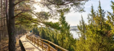 Juniper Valley Trail