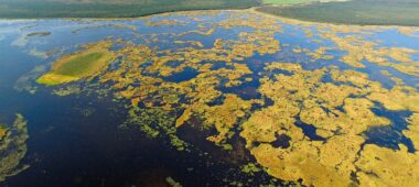 Žuvintas Lake Nature Trail