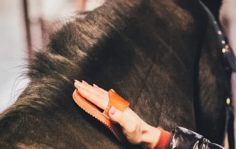 Zirgu_terapijas_centrs_08