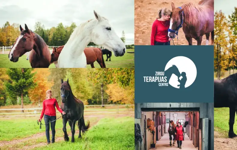 Hobuste_teraapia_keskus_10