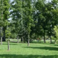 disku-golfa-trase-vecumniekos-003