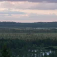 paukjerves-ezera-dabas-taka-un-telsu-vieta-002
