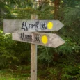 paukjerves-ezera-dabas-taka-un-telsu-vieta-009