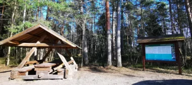 Tammiste metsarada ja lõkkekoht