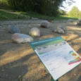 sakas-muizas-parks-un-iezu-ekspozicija-1-003