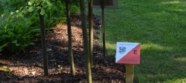 Vecumnieki orienteerumispaik