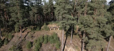 Valge varblaste düüni