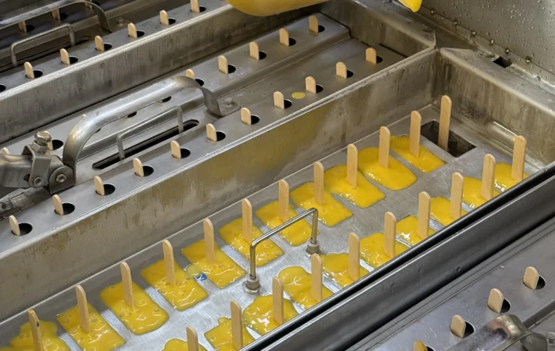 saldejuma-razotne-avenei-017