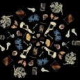 rsu-anatoomia-muuseum-005
